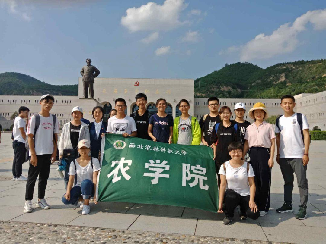 生化危机7